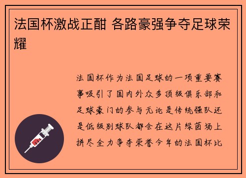 法国杯激战正酣 各路豪强争夺足球荣耀